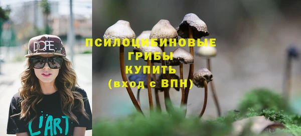 ешки Армянск