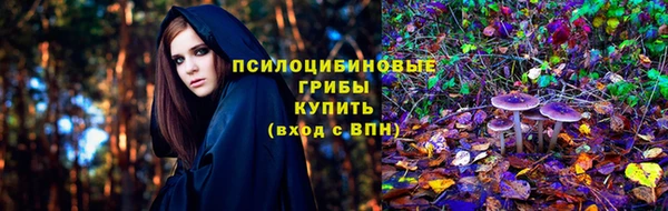 стафф Сатка