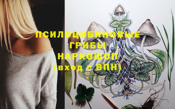 ешки Армянск